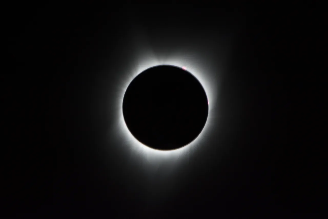 Sólkóróna með bleikleitum sólstrókum við jaðar tunglskífunnar.